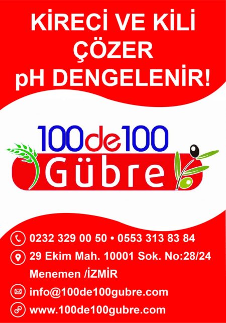 100 де