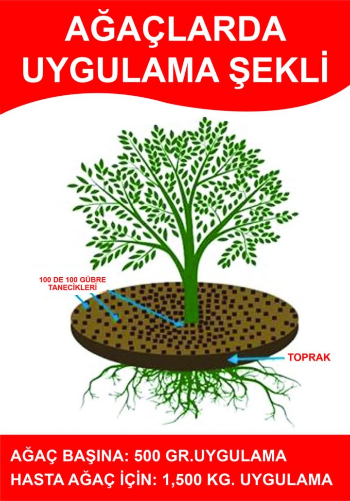 Agac Kurumasi 100 De 100 Gubre Toprak Duzenleyici Sivi Gubre