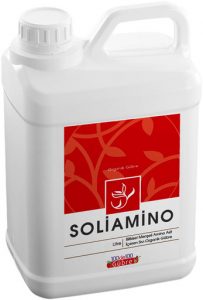 Soliamino